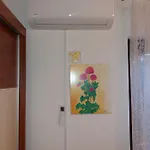 Meri *