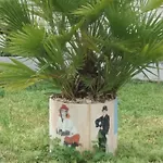 Διαμέρισμα Meri Τρογκίρ